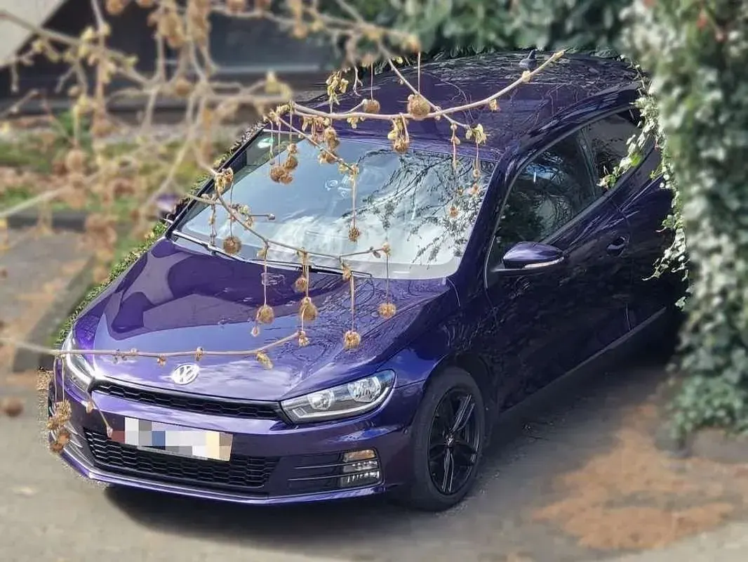 Usado VW Scirocco R-line 184 CV (135 kW) 2015 Burdeos Coupe