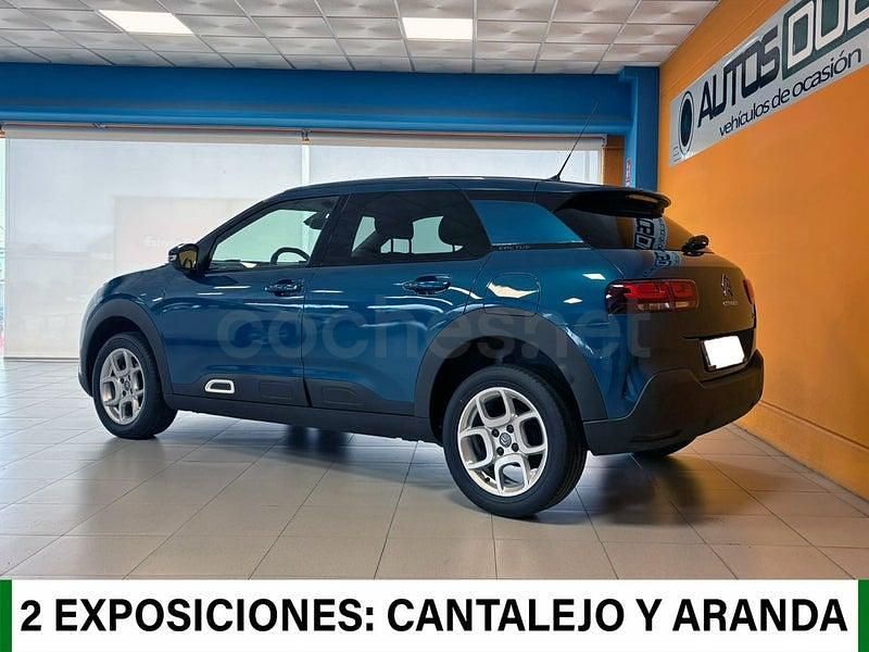 Usado Citroën C4 Cactus Shine 102 CV (75 kW) 2020 Azul Utilitario