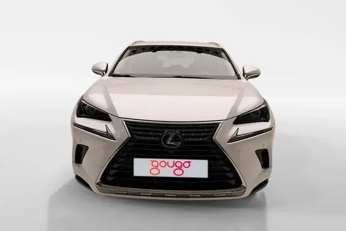 Usado Lexus NX300h Business Edition 197 CV (144 kW) 2019 SUV
