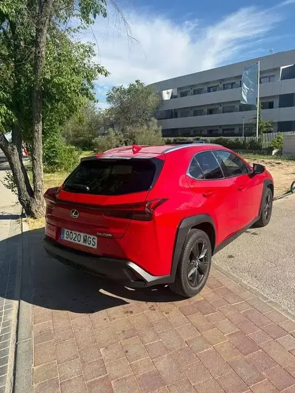 Usado Lexus UX 250h 184 CV (135 kW) 2023 Rojo SUV