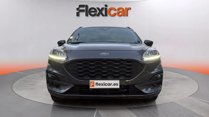 Usado Ford Kuga ST-Line 120 CV (88 kW) 2024 Gris SUV