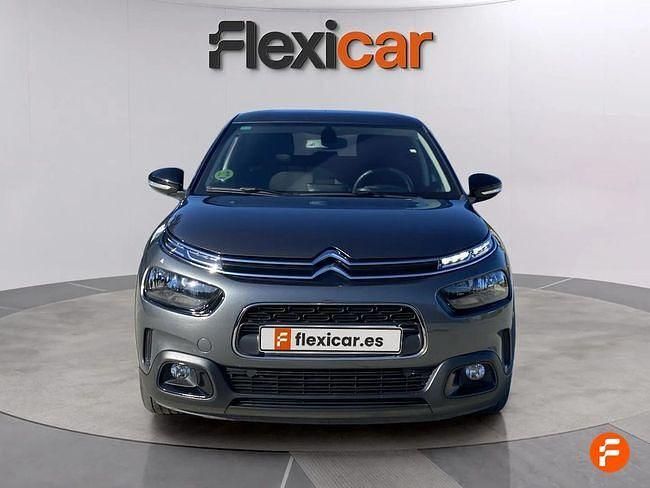 Usado Citroën C4 Cactus Shine 102 CV (75 kW) 2019 Gris Utilitario