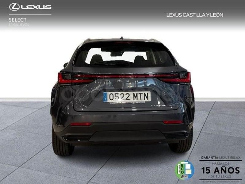Usado Lexus NX350h 242 CV (177 kW) 2024 Gris / plata SUV