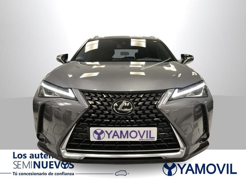 Usado Lexus UX 250h Executive Line 184 CV (135 kW) 2020 Gris SUV