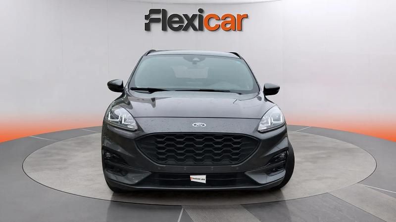 Usado Ford Kuga ST-Line 120 CV (88 kW) 2024 Gris SUV