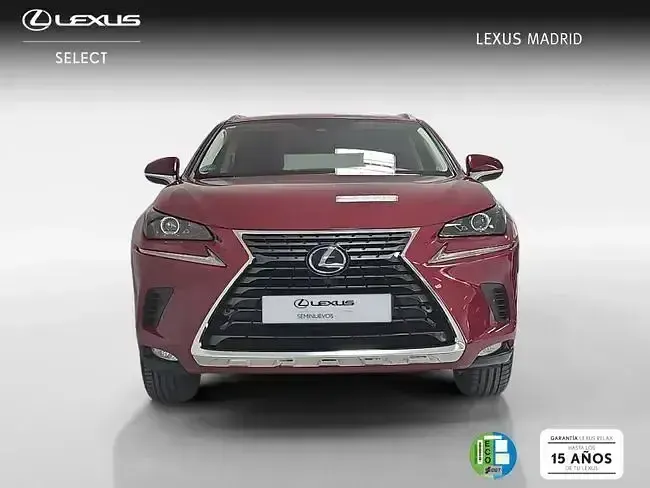 Usado Lexus NX300h Executive Line 197 CV (144 kW) 2020 Rojo SUV
