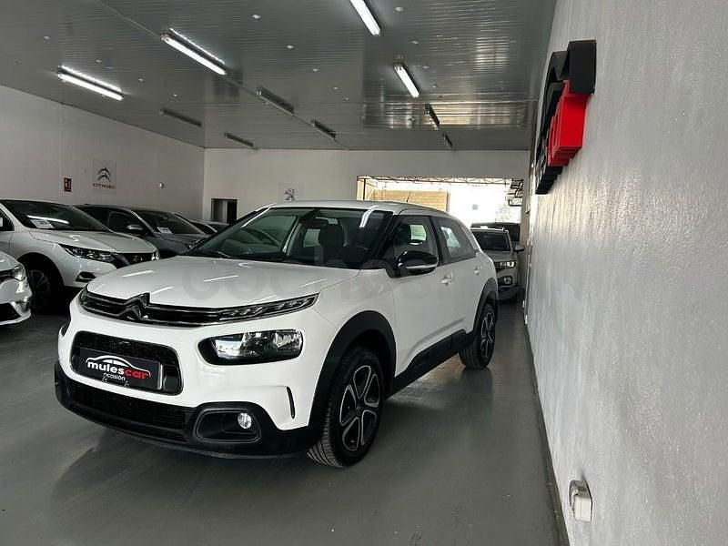 Usado Citroën C4 Cactus Feel 102 CV (75 kW) 2019 Blanco Utilitario