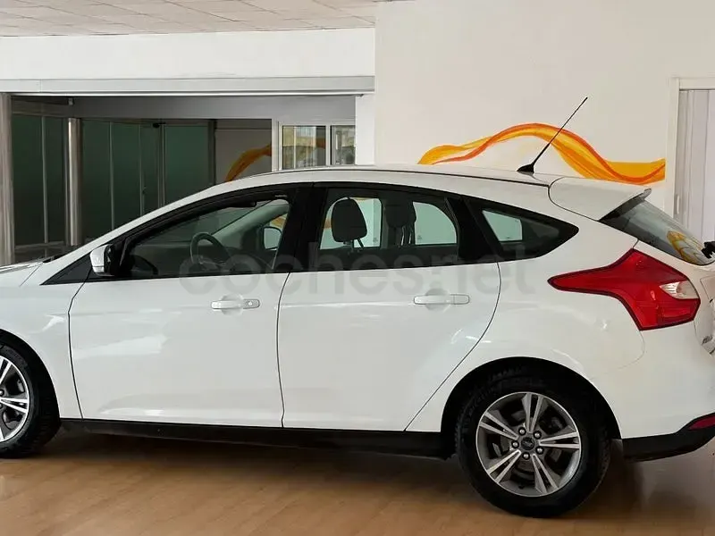 Usado Ford Focus Trend 125 CV (91 kW) 2013 Blanco Berlina