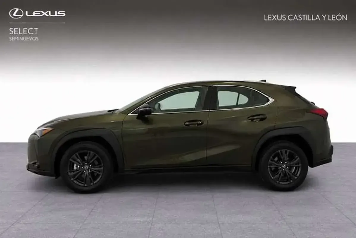 Usado Lexus UX 300h 199 CV (146 kW) 2025 Verde SUV