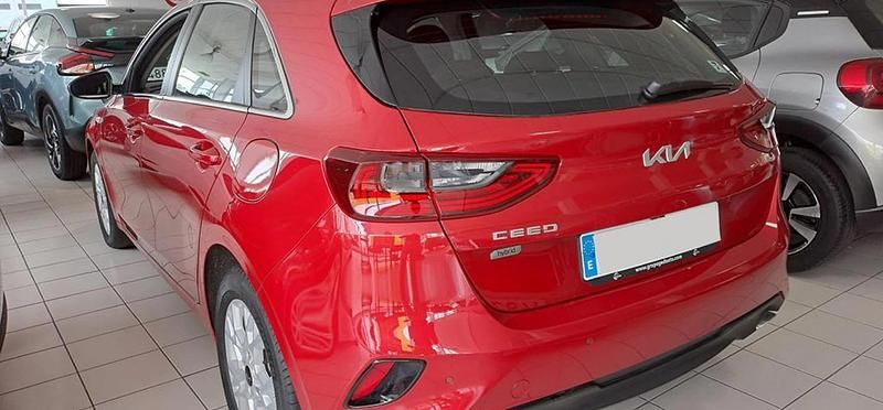 Usado Kia Ceed 136 CV (100 kW) 2024 Rojo Utilitario