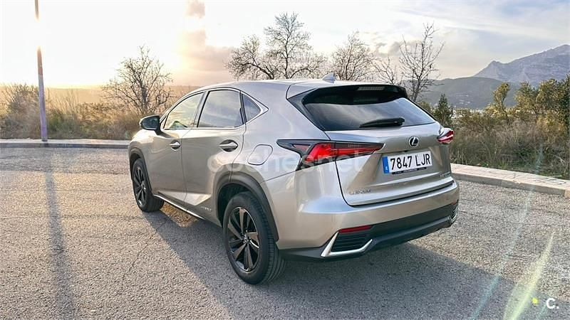 Usado Lexus NX300h Sport Line 197 CV (144 kW) 2020 Gris / plata SUV
