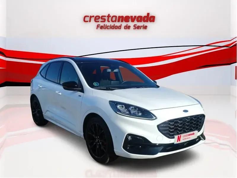 Usado Ford Kuga ST-Line X 190 CV (139 kW) 2024 SUV