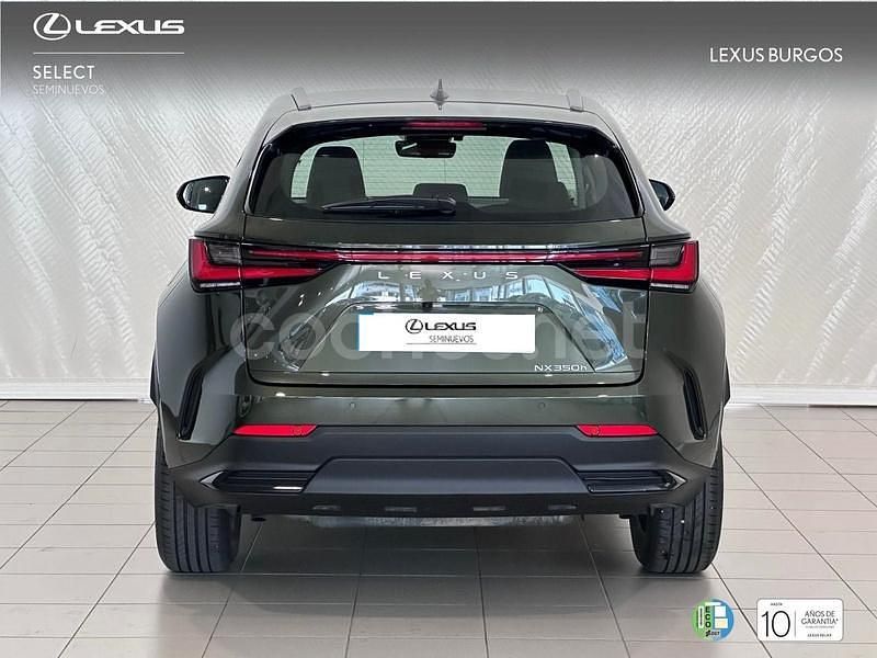 Usado Lexus NX350h 243 CV (178 kW) 2025 Verde SUV