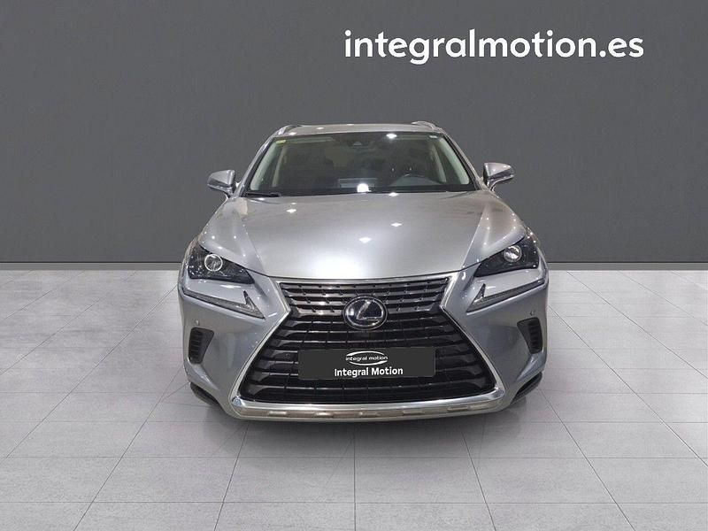 Usado Lexus NX300h Business Edition 197 CV (144 kW) 2020 Gris SUV