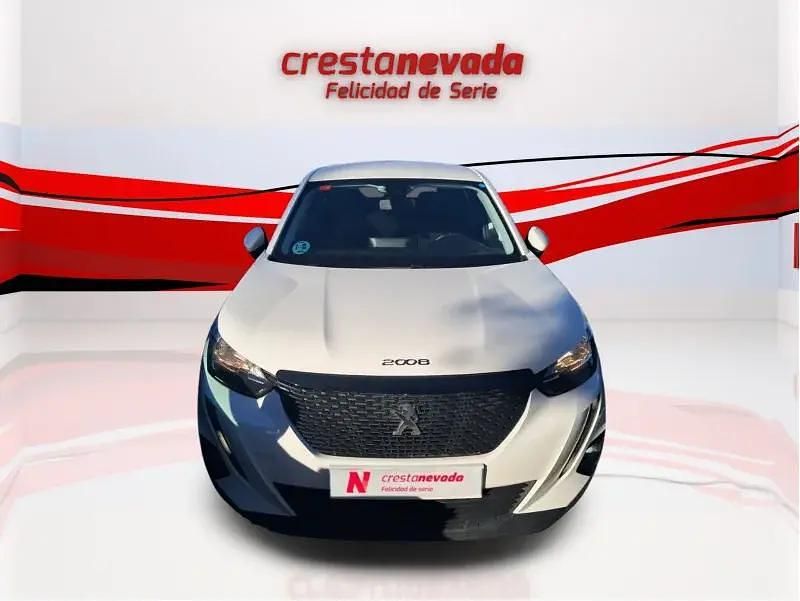 Usado Peugeot 2008 Active 110 CV (80 kW) 2021 SUV