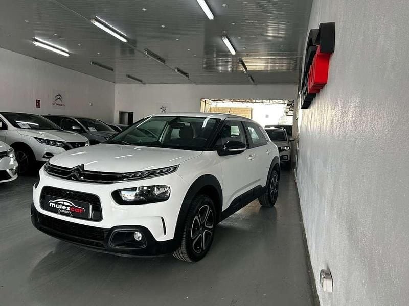 Usado Citroën C4 Cactus Feel 99 CV (72 kW) 2019 Blanco Utilitario