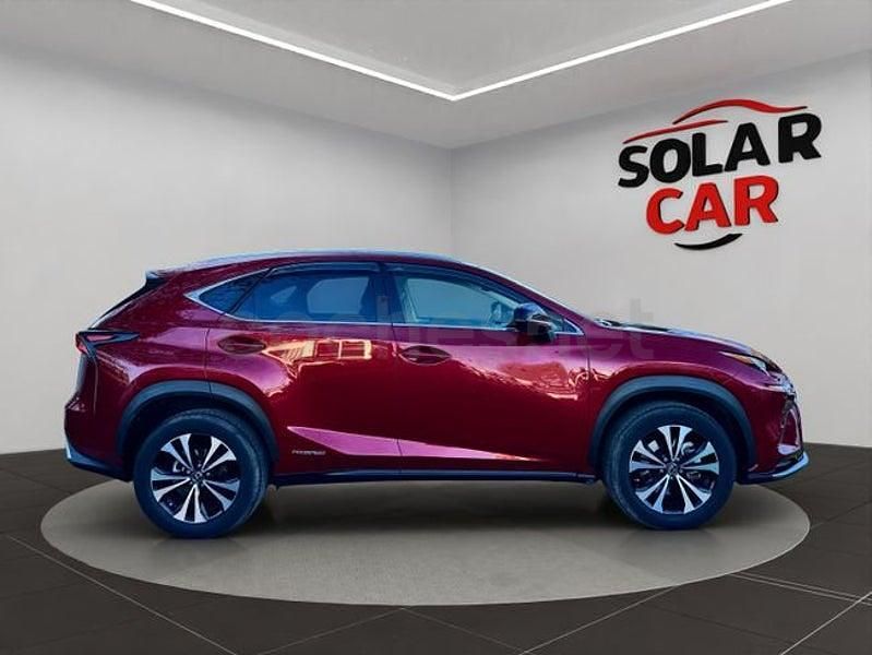 Usado Lexus NX300h 197 CV (144 kW) 2021 Granate SUV