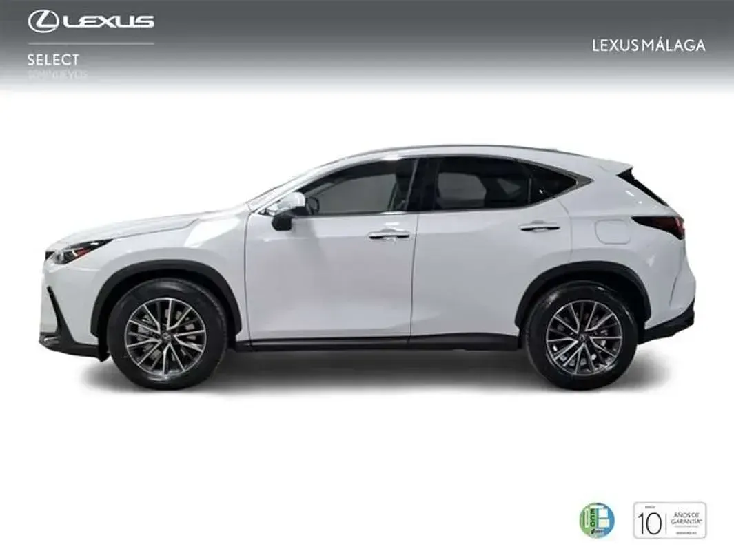Nuevo Lexus NX450h+ 292 CV (214 kW) 2026 Blanco SUV