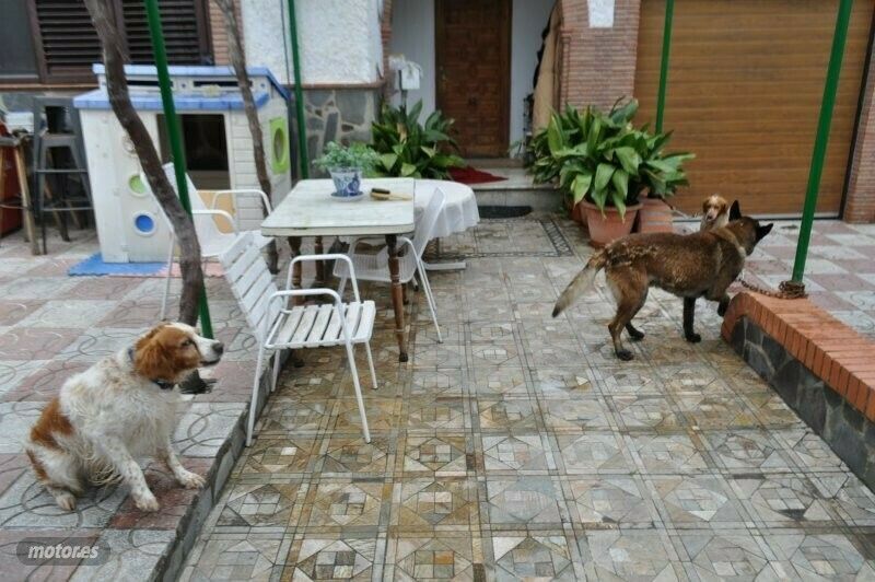 Usado Alfa Romeo GTV 131 CV (96 kW) 1982 Negro Coupe