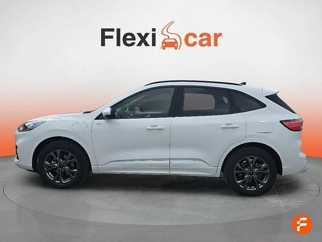 Usado Ford Kuga ST-Line 225 CV (165 kW) 2022 Blanco SUV