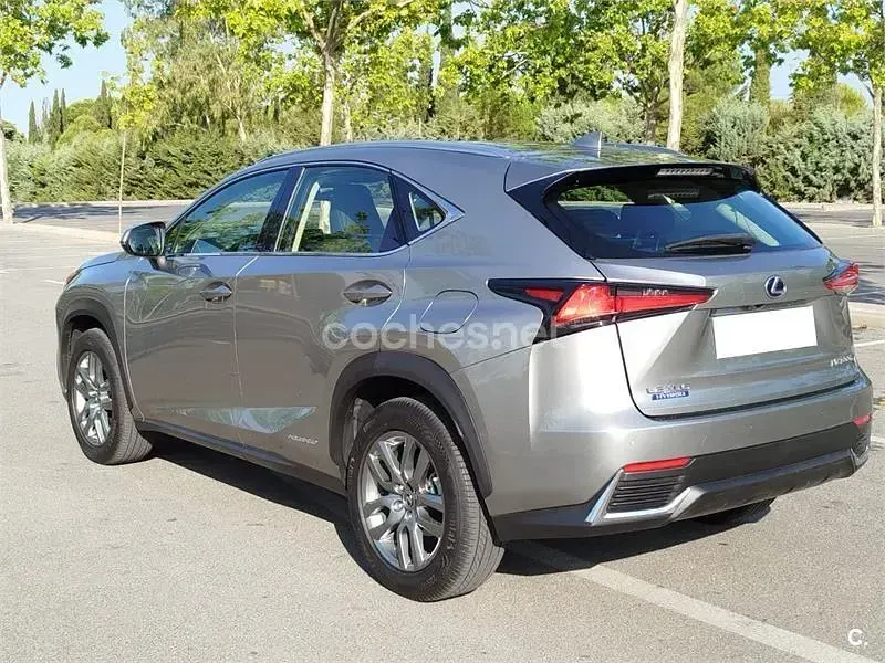 Usado Lexus NX300h Executive Line 197 CV (144 kW) 2021 Gris / plata SUV