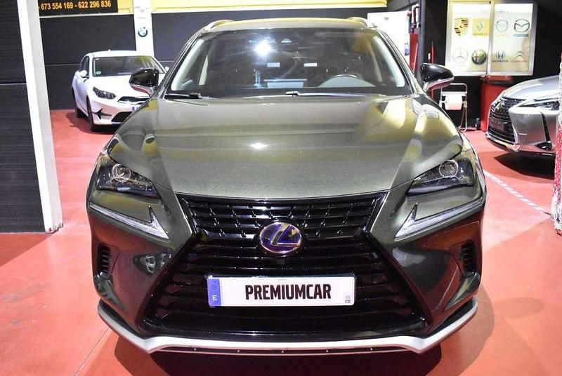 Usado Lexus NX300h Executive Line 197 CV (144 kW) 2021 Verde SUV