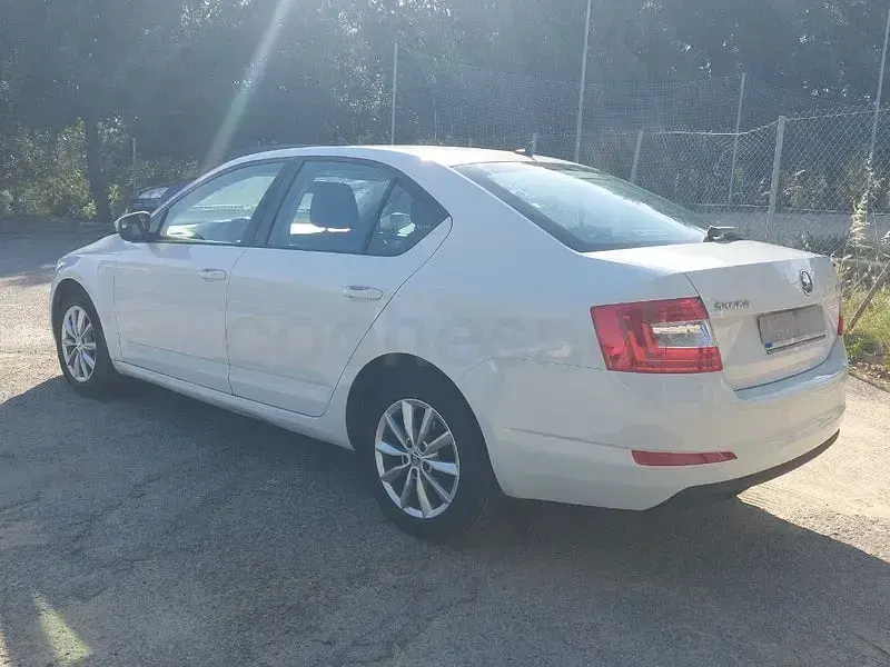 Usado Skoda Octavia Ambition 115 CV (84 kW) 2016 Blanco Familiar