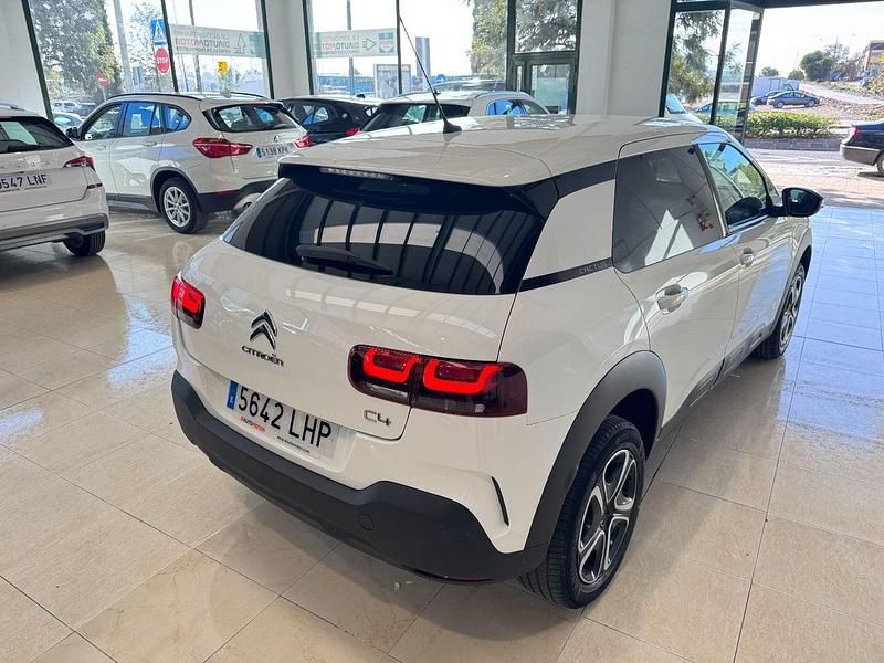 Usado Citroën C4 Cactus 102 CV (75 kW) 2020 Blanco Utilitario