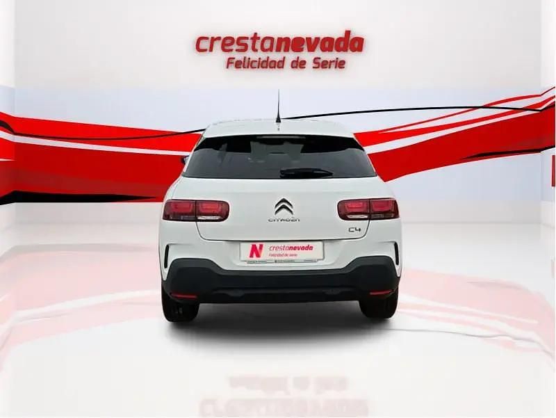 Usado Citroën C4 Cactus 102 CV (75 kW) 2020 Blanco Utilitario