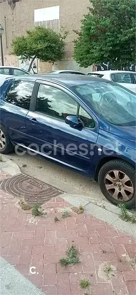 Usado Peugeot 307 90 CV (66 kW) 2001 Azul Utilitario