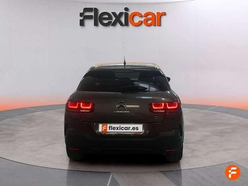 Brugt Citroën C4 Cactus PureTech 110 HK (80 kW) 2020 Grå Hatchback