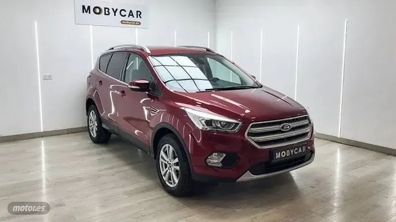 Usado Ford Kuga Trend 120 CV (88 kW) 2019 Blanco SUV