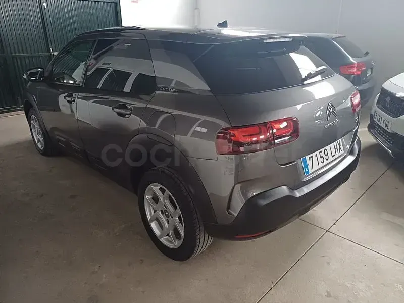 Usado Citroën C4 Cactus Shine 102 CV (75 kW) 2020 Gris / plata Utilitario