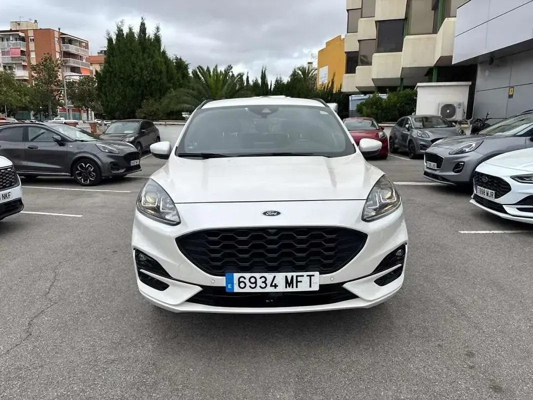 Usado Ford Kuga ST-Line 224 CV (164 kW) 2023 Blanco SUV