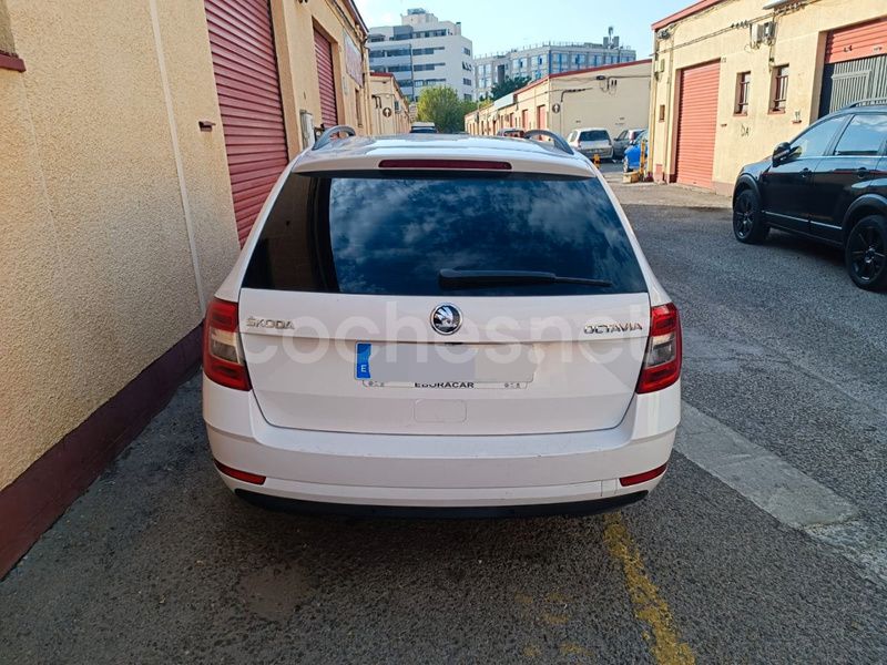 Usado Skoda Octavia Active 116 CV (85 kW) 2018 Blanco Familiar