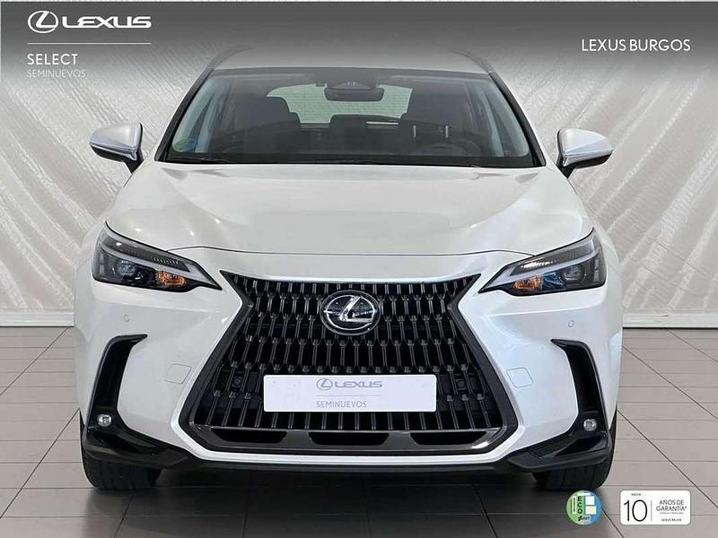 Usado Lexus NX300 245 CV (180 kW) 2024 Blanco SUV
