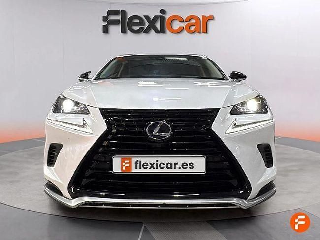 Usado Lexus NX300h Business Edition 197 CV (144 kW) 2021 Blanco SUV