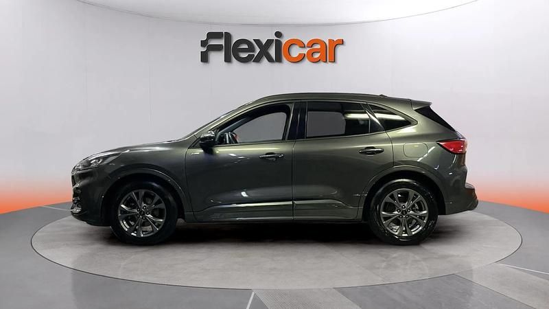 Usado Ford Kuga ST-Line 120 CV (88 kW) 2024 Gris SUV