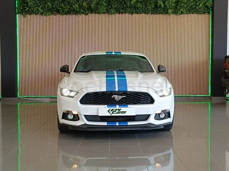 Usado Ford Mustang Fastback 314 CV (230 kW) 2016 Blanco Coupe
