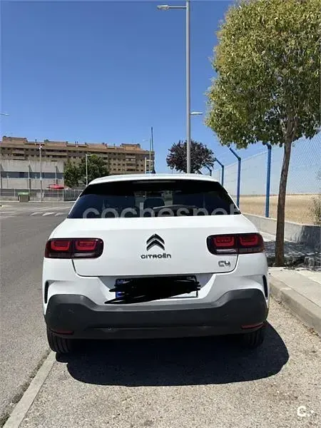 Usado Citroën C4 Cactus Feel 102 CV (75 kW) 2019 Blanco Utilitario