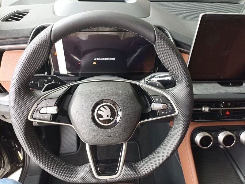 Usado Skoda Kodiaq 204 CV (150 kW) 2024 Negro SUV