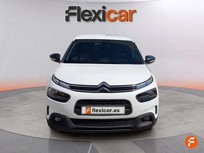 Usado Citroën C4 Cactus Feel 99 CV (72 kW) 2019 Blanco Utilitario