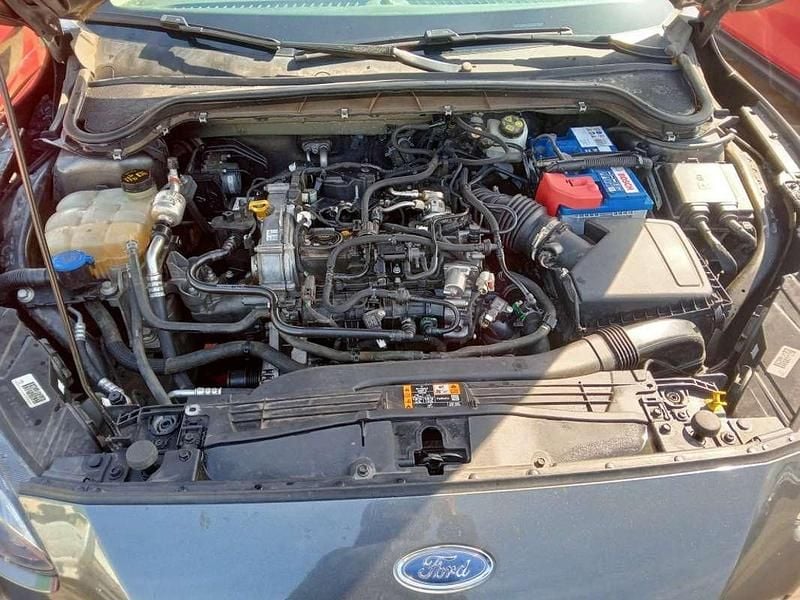 Usado Ford Focus Trend+ 125 CV (91 kW) 2020 Gris Familiar