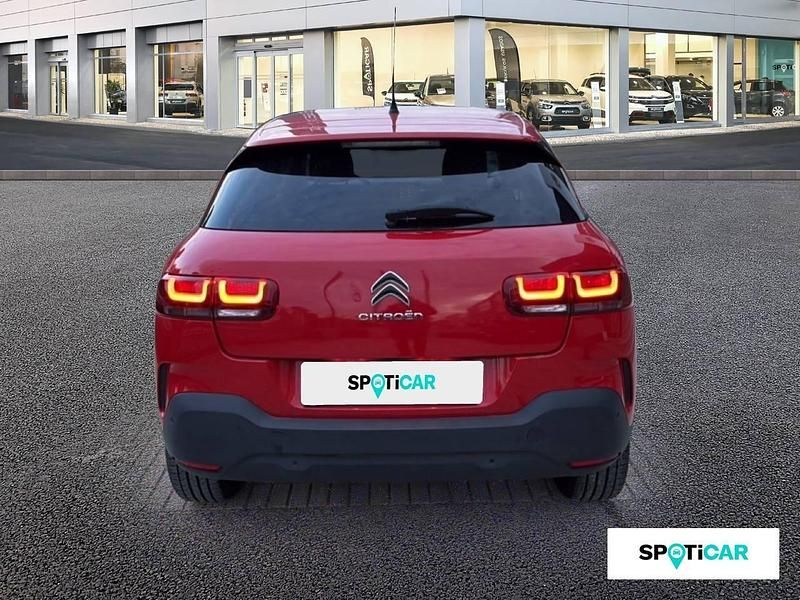 Usado Citroën C4 Cactus Feel 99 CV (72 kW) 2019 Rojo Utilitario