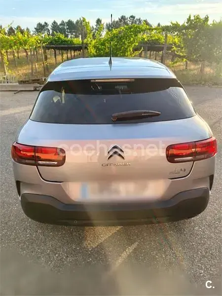 Usado Citroën C4 Cactus Origins 102 CV (75 kW) 2019 Gris / plata Utilitario