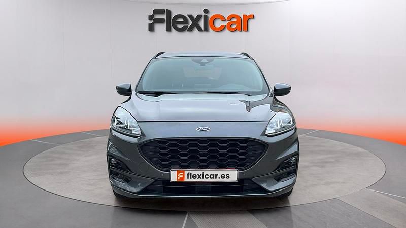 Usado Ford Kuga ST-Line 120 CV (88 kW) 2024 Gris SUV