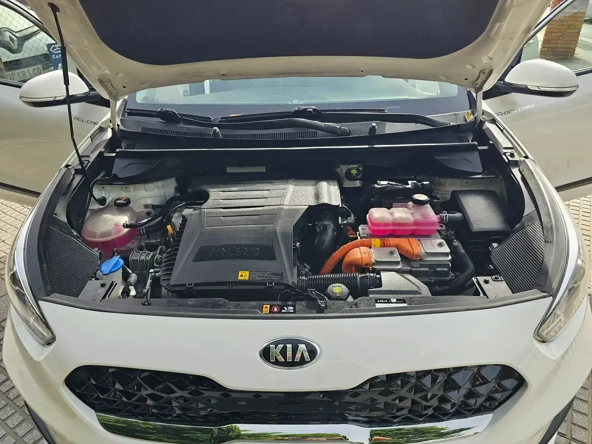 Usado Kia Niro 141 CV (103 kW) 2022 Gris SUV