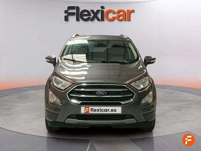 Usado Ford Ecosport Trend 125 CV (91 kW) 2019 Gris SUV