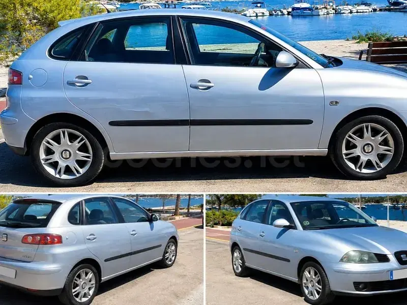 Usado Seat Ibiza 75 CV (55 kW) 2003 Gris / plata Utilitario