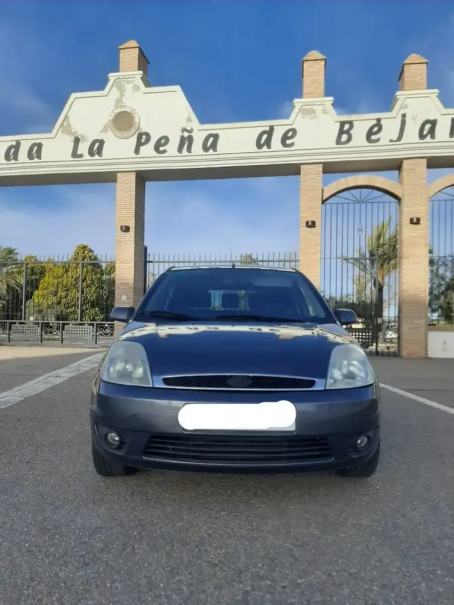 Usado Ford Fiesta Ghia 90 CV (66 kW) 2005 Gris Utilitario
